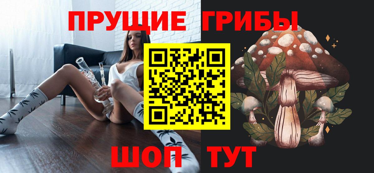 Псилоцибиновые грибы Psilocybe  Вход с VPN  Сатка 